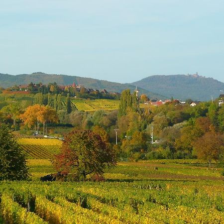 Le GM Chambres d'hôtes de charme en Alsace Mittelwihr Exterior foto
